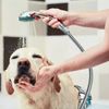Chrome 10FT Long Shower Hose For Head Handheld Spray High Pressure Adjustable