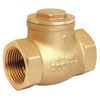 Swing Check Valve, Brass, 1 In., NPT