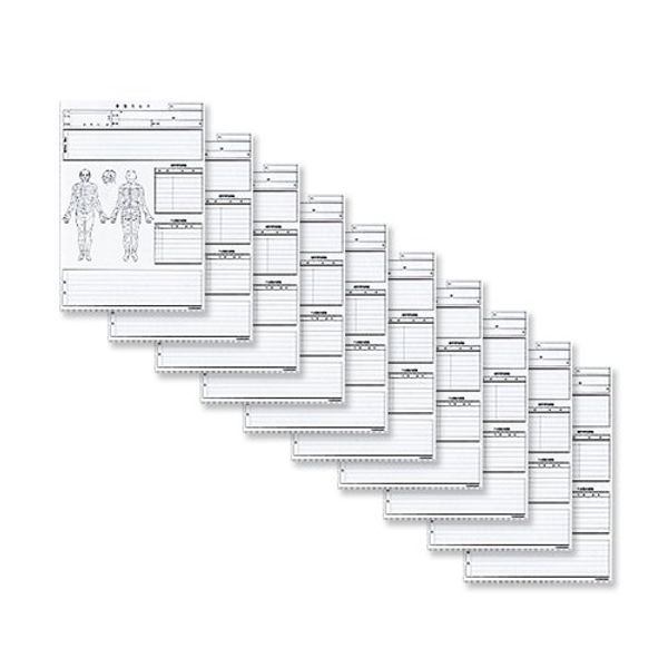 SC-271 Handicraft Carte Small (A4 Modification) x 10 Sheets