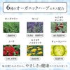 Dental Beauty Care Whitening