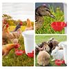 6PCS Large Automatic Water Cups Chicken Duck Quail Drinker Waterer w/ Drill Bit