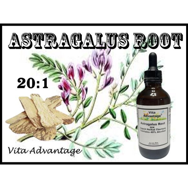 ORGANIC ASTRAGALUS ROOT HIGH POTENCY 20:1 EXTRACT 4oz with Free Sample