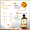 Ryaal Natural Orange Essential Oil, 4 Fl Oz