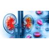 Kidney Flush - KIDNEY SUPPORT - Bladder Health - Kidney Boost - 1 B 60 Ct