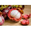 Premium Antioxidant Defense - MANGOSTEEN COMPLEX - 1B 60 Caps
