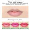 Alovera lipstick (2)