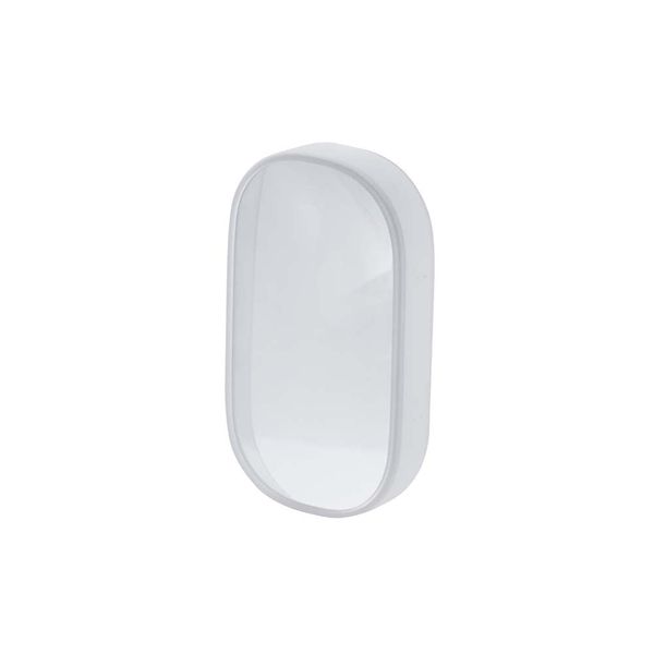 +d Gulliver Frame Clear Magnifier Loupe DA-1340-CL