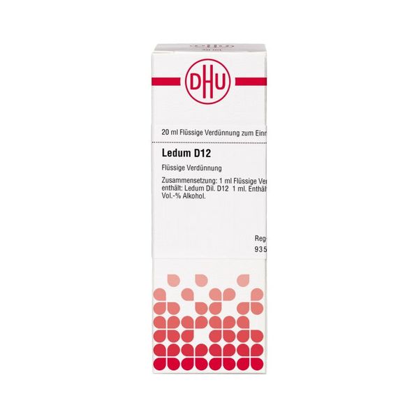 DHU Ledum D8 Dilution, 20 ml Lösung