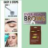MINA eyebrow Henna Dark Brown Regular Pack & Coloring Kit
