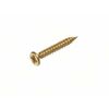 Gold Wood Screws Countersunk #4  X 3/4 Inch - 50 Pack