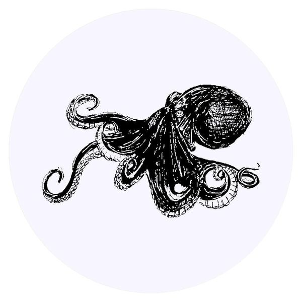 24 x 40mm Round 'Octopus' Stickers (SK00005529)
