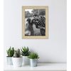 MCS Studio Document Frame, Gallery Wall Frame Fits 8.5 x 11 Diplomas, Documents & Certificates, Natural Woodgrain, Single
