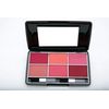 Miss Claire Blusher Kit 3660-B- 4, Multi, 24 g