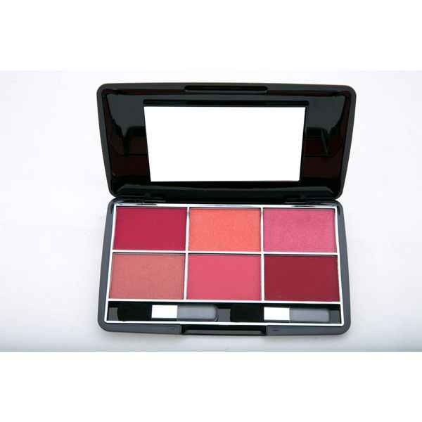 Miss Claire Blusher Kit 3660-B- 4, Multi, 24 g