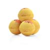 Cozy Pumpkins Luxury Bath Bombs -Set of 10 - Extra Large - 4.5oz