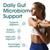 Nutrition Essentials Probiotics for Women and Men - with Lactase Enzyme and Prebiotic Fiber for Digestive Health - 80 Percent + More Potent Supplement for Gut Health Support - Vegan Formula