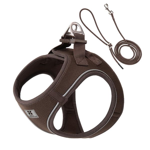 Small Combination Dog Harness and Leash, Beige, Adjustable (Brown, L)