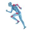 Arthro-Morph with Glucosamine Chondroitin MSM Hyaluronic Vit. C