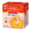 MegRhythm Steam Warming Sheets - 16ct.