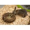 HAPPYPET Willow Ring Large 9.5"