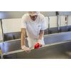 Vikan 38904 Brush,Scrub,Stiff,8",PP/PBT,Red