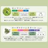 Essential Oil Set (Intensive Aroma Set)
