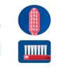 Ci25 (Soft) (Sparse Hair) Compact Head Toothbrush x 10, For Dental Use