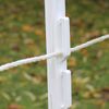 Fortis Electric Polyposts | 4ft | 20 Pack | Plastic Temporary Fencing