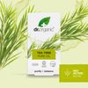 Tea Tree Pure Oil 10ml