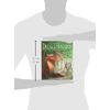 Brainwright GameWright  Dragonwood A Game of Dice Daring []