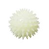 Gnawsome Glow-in-The-Dark Spiky Ball- Small 2.5"