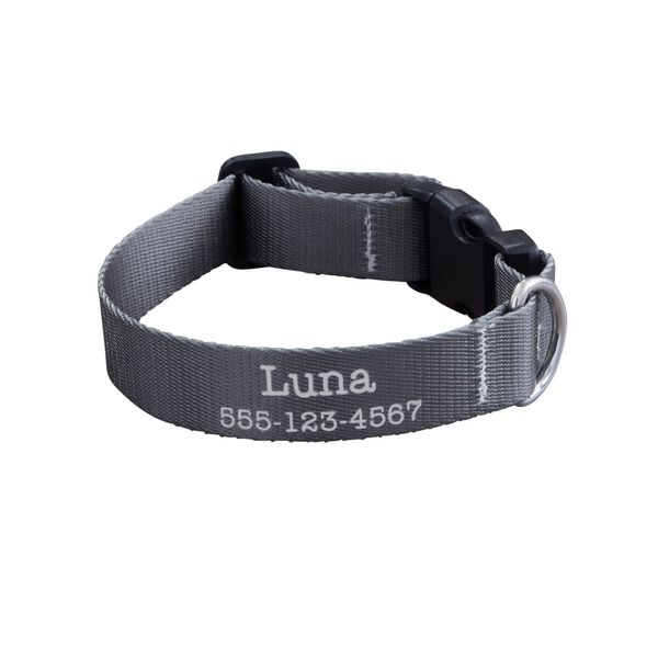 Personalization Universe Pet Initials Personalized Dog Collar - Small/Medium