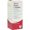 Arnica Floribus W 5% Oleum 100ml