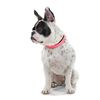 Hunter - Comfort Collar 22-30 cm Convenience pink