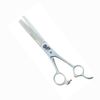 Tokyo Striae Charger, Swan Super Super 4 # 30