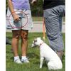 Canine Innovations – Pet Convincer 2 – Air Training Tool Dogs