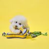 WINIZ Durable Dog Toy – Interactive Chew Toy – Multiple Styles & Sizes Frog L