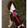 EzyDog X-Link Harness | Dog Harness, Medium, Purple, Reflective Stitching, No Pull, Breathable Material