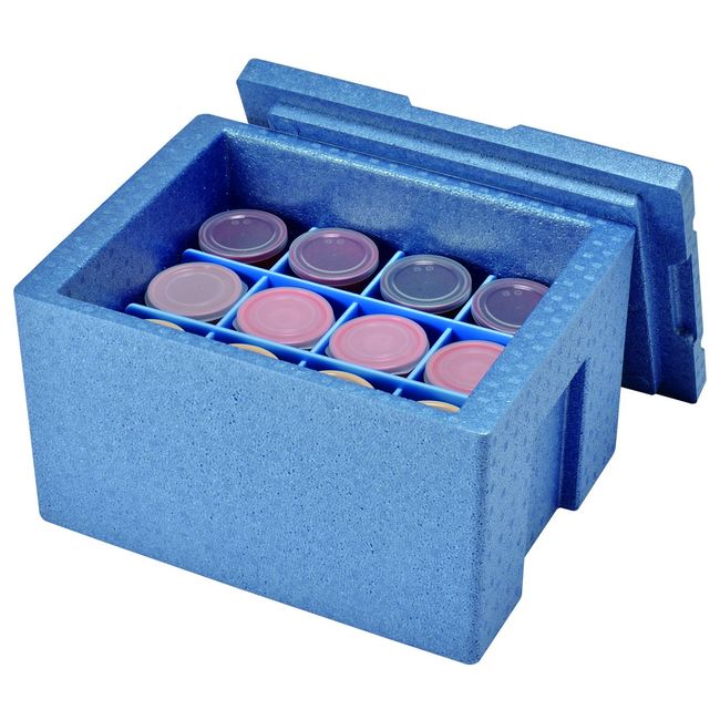 Daikyu RH-30 Hot and Cold Storage Container for Delivery & Catering, Blue