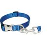 Collar w/ Satin Metal Hardware - Medium - Turquoise Dog/Pet Collar