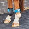 Saxon Contoured Fetlock Boots, Black/Blue, Full
