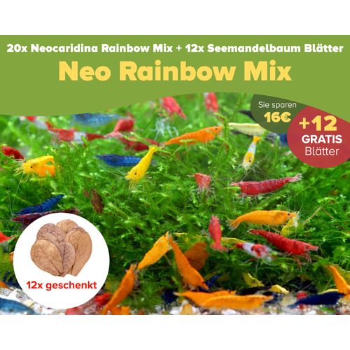 NatureHolic Rainbow Garnelenmix | Garnelen fürs Aquarium | 20x Neo Regenbogen Garnelenmix + 12x Seemandelbaum Blätter | Ideal für Einsteiger - hübsche Mischung aus bunten Garnelen