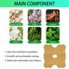 10pcs Lower Back Pain Relief Patch Lumbar Spine Support Sciatica Muscle LongLast
