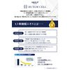 HUTEMCELL MASK Human Stem Cell Face Pack (Human Stem Cell 7% / Set of 5) Face Mask Skin Care Korean Cosmetics Moisturizing Pore Care
