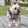 HEELE No Pull Dog Harness - Small, Reflective, Adjustable with Front & Back Leash Attachments & Soft Padded Control Handle for Dogs Walking & Training, Grey, S