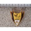 World Kite Festival in UCHINADA Commemorative Pin Batch