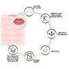 BRAWNA [ 2023 Upgrated Version ] 5 Pck Lip Blush Practice Skin for PMU machine - Double Sided - Microblading Supplies - PMU kit - PMU Practice Skin to Practice Lip Tattoo