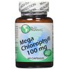 World Organic Mega Chlorophyll, 100 mg, Capsules, 60 capsules