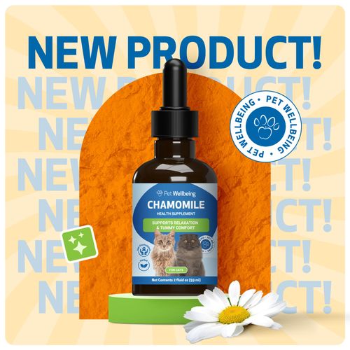 Pet Wellbeing Chamomile for Cats - Organic Herb, Supports Digestive Function, Tummy Comfort, Healthy Relaxation, Calm Disposition - Veterinarian-Formulated Herbal Supplement 2 oz (59 ml)