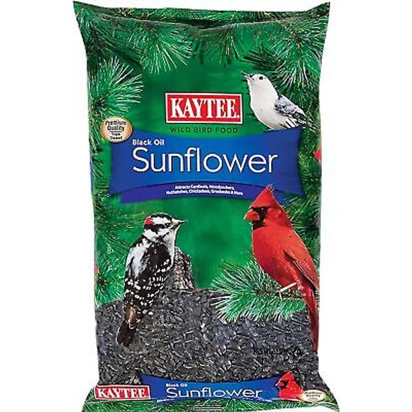 Kaytee Wild Bird Black Oil Sunflower Food, 5 Pounds 80 Ounce (Pack of 1)